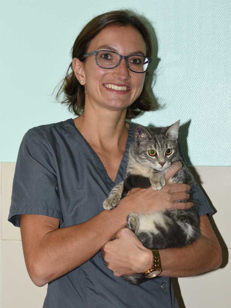 clinique vétérinaire chasse sur rhone docteur chien chat nac medecin ternay cabinet communay givors