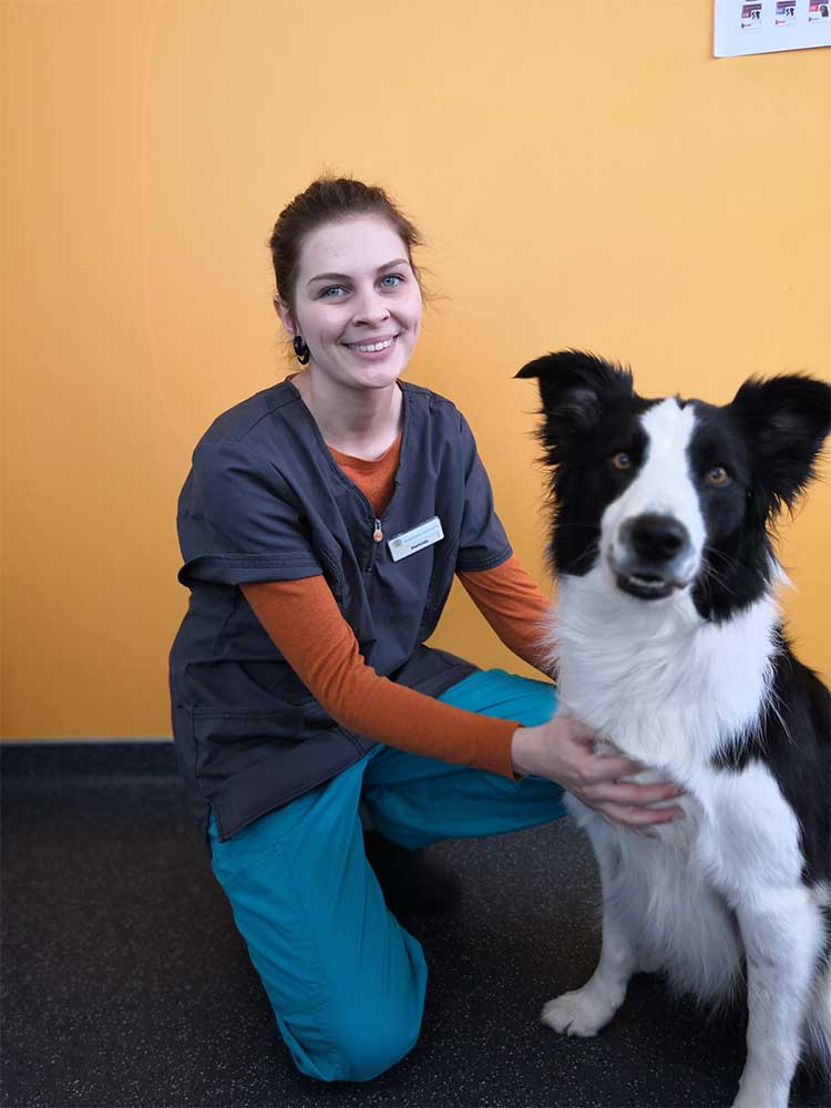clinique vétérinaire chasse sur rhone docteur chien chat nac medecin ternay cabinet communay givors