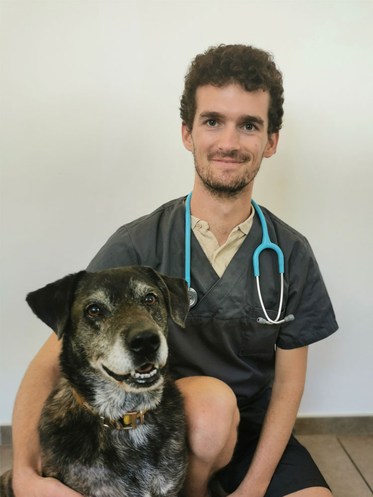 vétérinaire clinique robin à chasse sur rhone