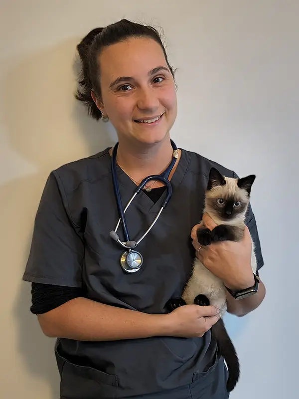 périne docteur vétérinaire cabinet chasse sur rhone